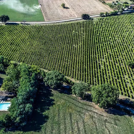 Deda 12&2 By Marche *